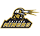 Chicago Miners